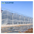 Customized Agricultural Vegetable Greenhouses